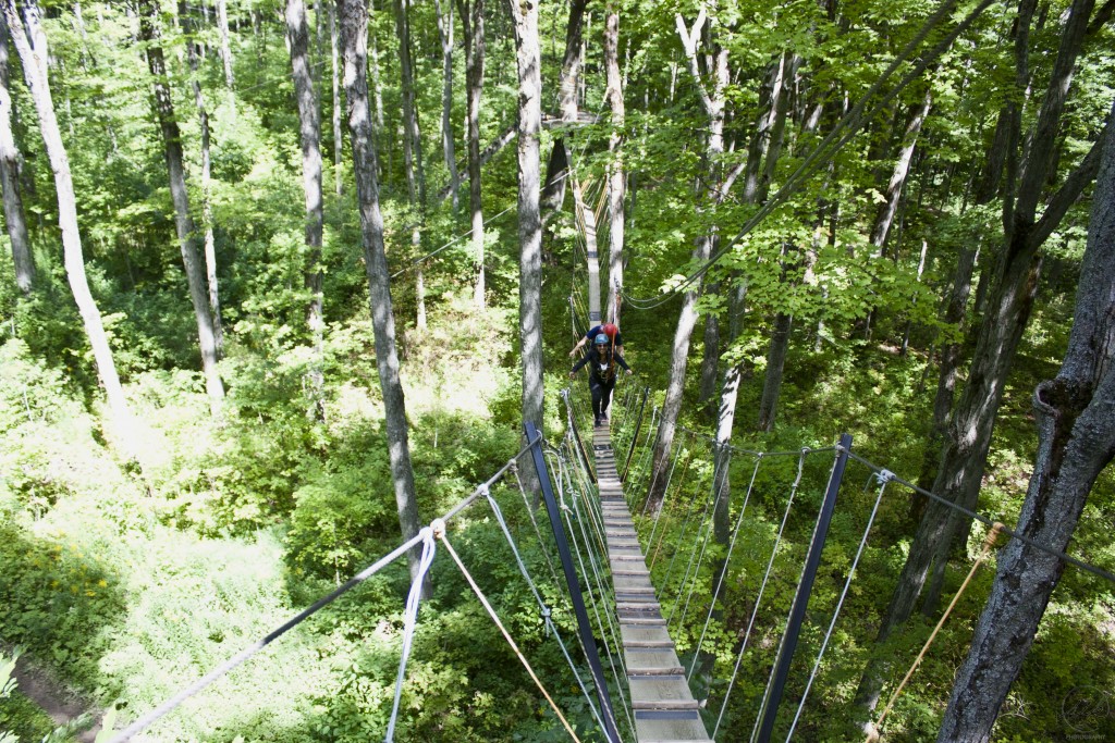 treetop canopy walk, treetop, adventure, blue mountain, collingwood