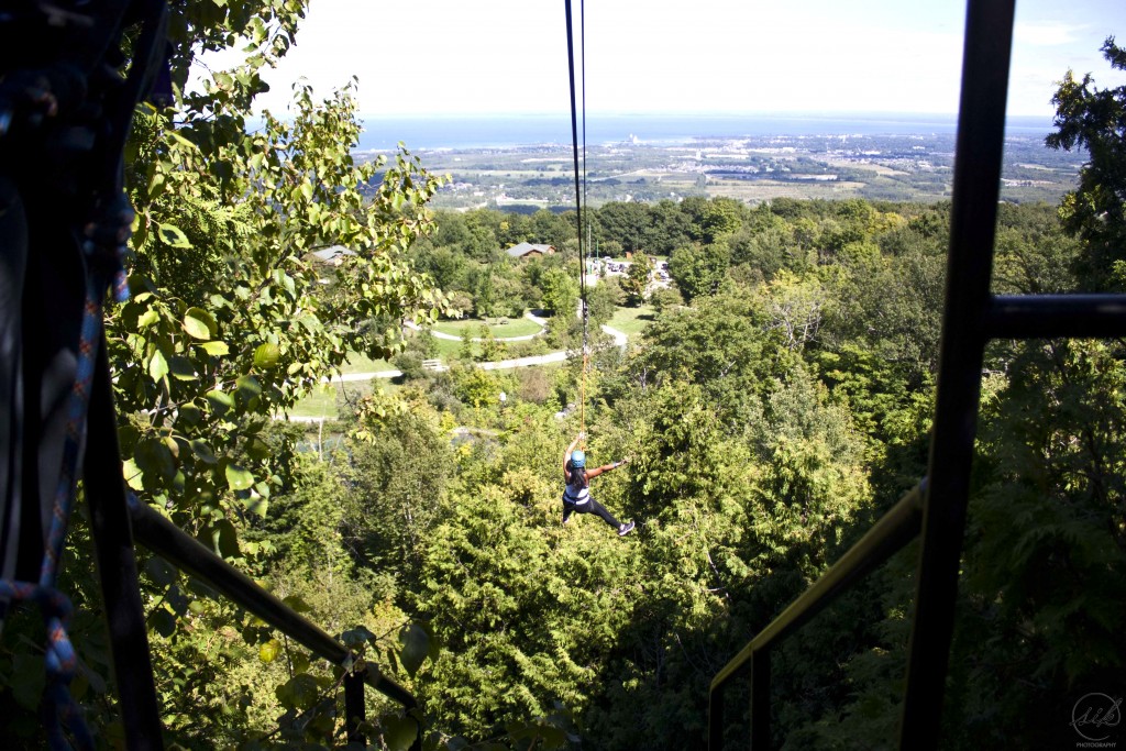 zip lining, collingwood, blue mountain, scenic caves nature adventures