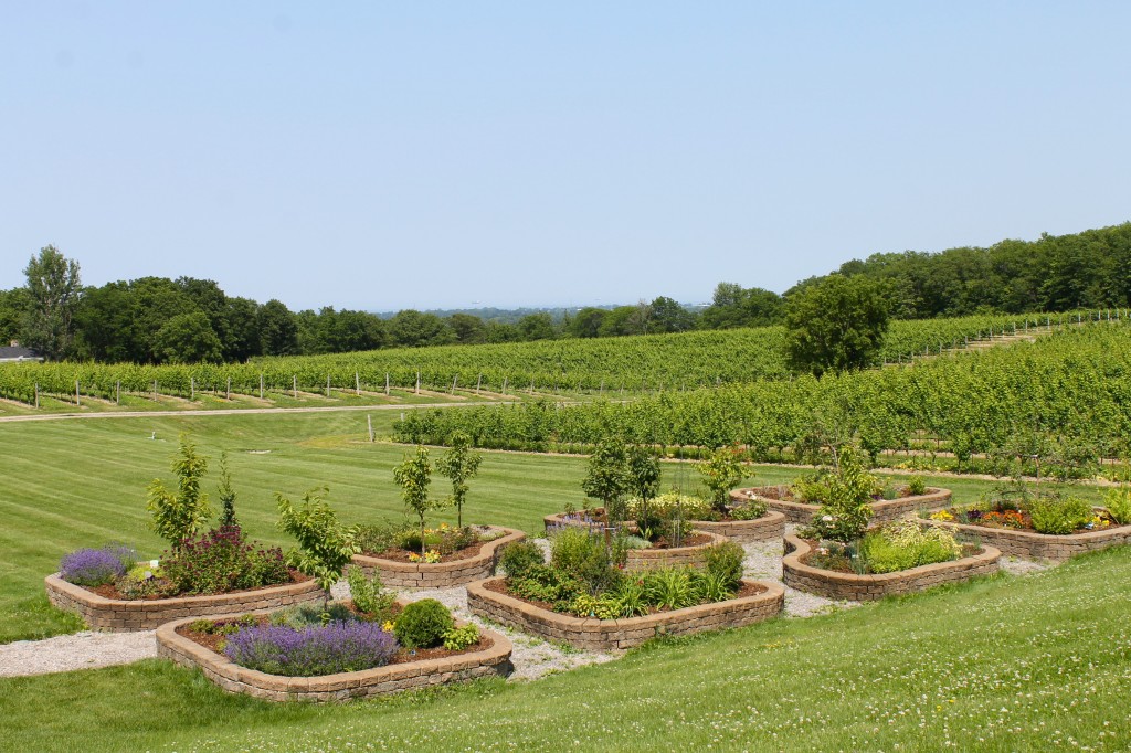 Vineland Estates Winery