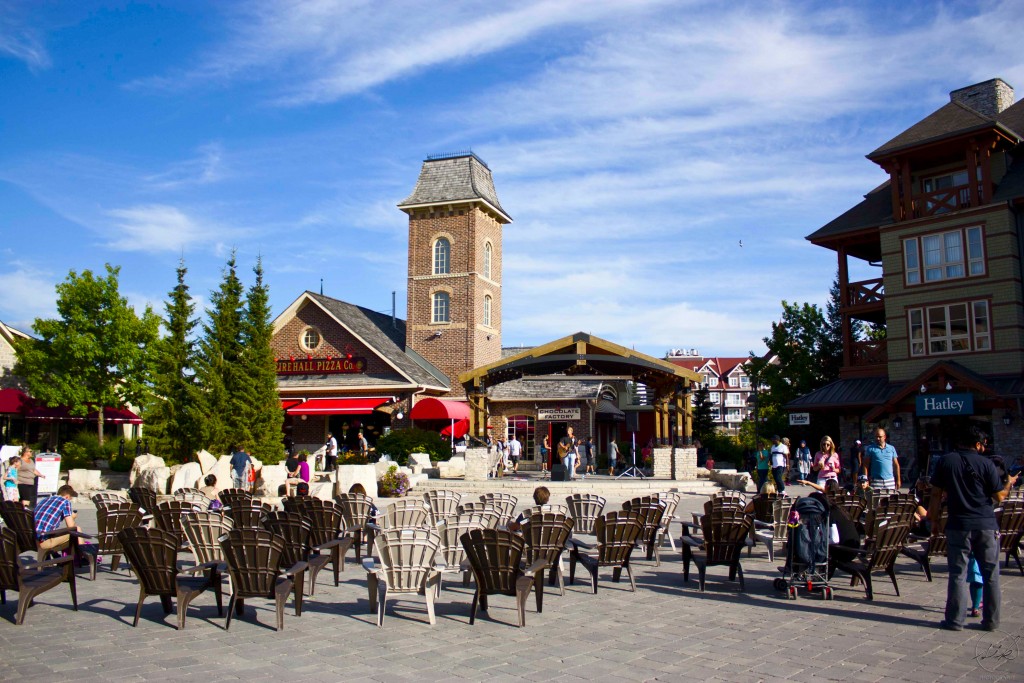 Summer at the Blue Mountains