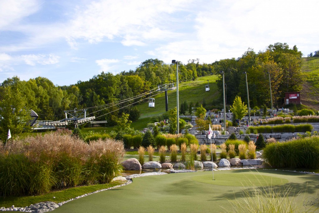 Summer at the Blue Mountains