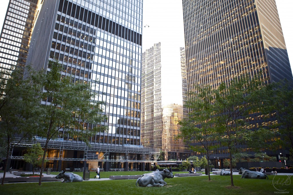 The Pasture by Joe Fafard, cows, sculpture, toronto, financial district