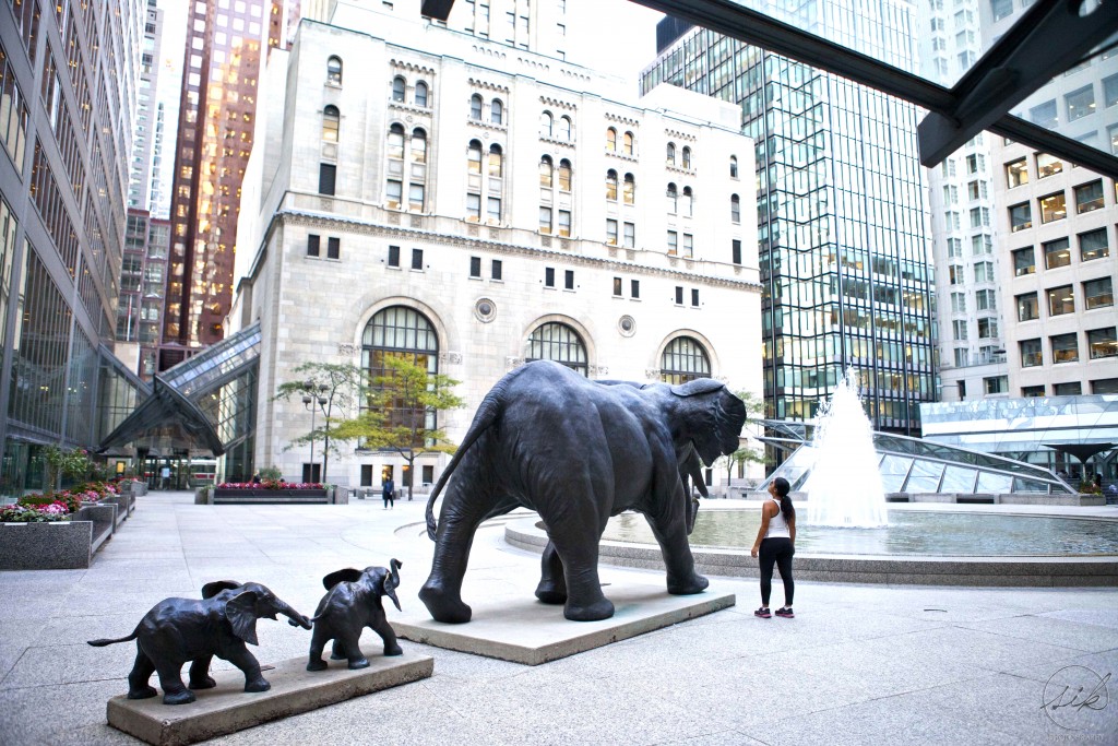 Tembo by Derrick Stephan Hudson, elephants, commerce court, toronto, sculpture