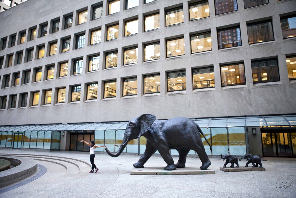 Tembo by Derrick Stephan Hudson, elephants, commerce court, toronto, sculpture