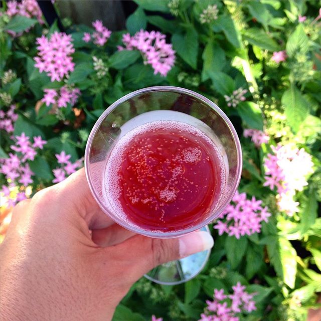 Sparkling Pomegranate Kir