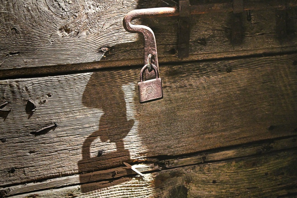 Abbas Kiarostami, Aga Khan Museum, toronto, Iranian