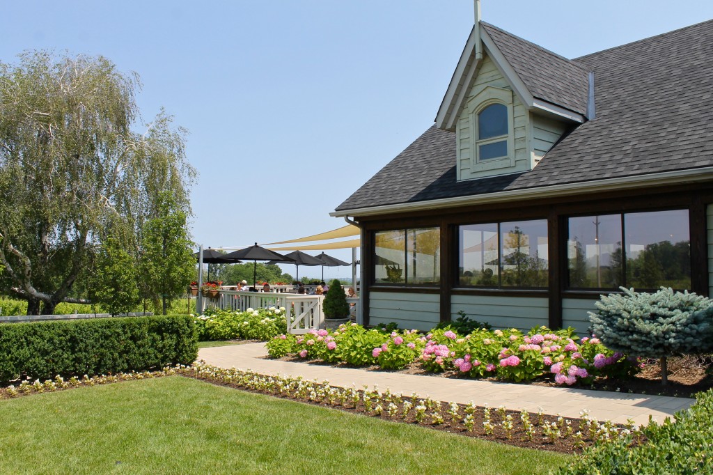 Vineland Estates, niagara, wine country, wine, ontario, Wine Country Ontario