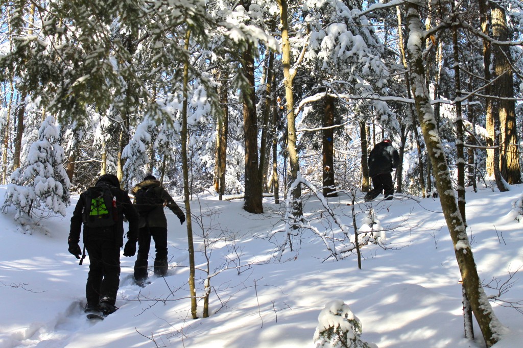 Yours Outdoors, Haliburton, Snowshoe, snowshoeing, ontario