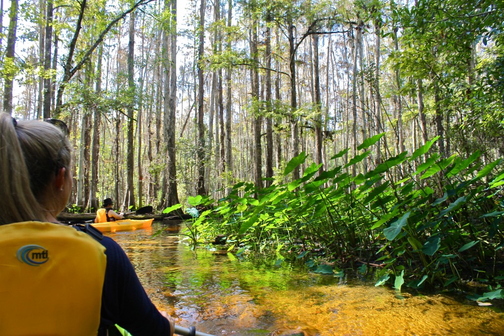 The Paddling Center At Shingle Creek, Kissimmee, Florida, adventure, kayak 