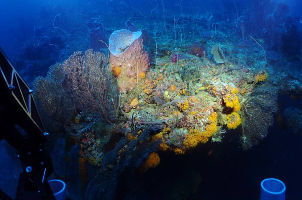 Substation Curacao, submarine, tourist, curacao, bucket list, adventure