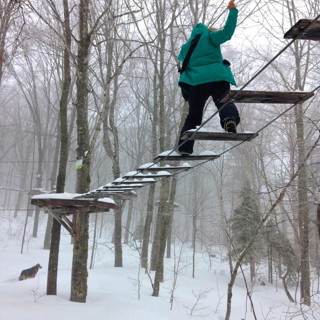 Domaine Valga, Quebec, Quebec Maritime, aerial, treetop, trek, canopy, adventure, zip line