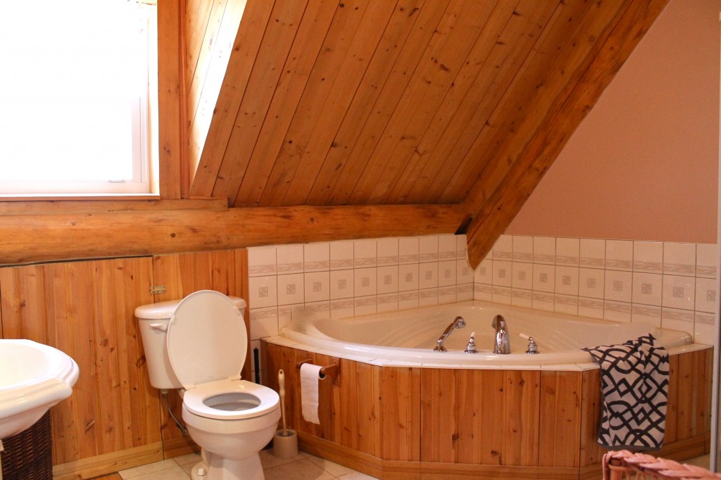 Domaine Valga, Quebec, Quebec Maritime, aerial, treetop, trek, canopy, adventure, zip line