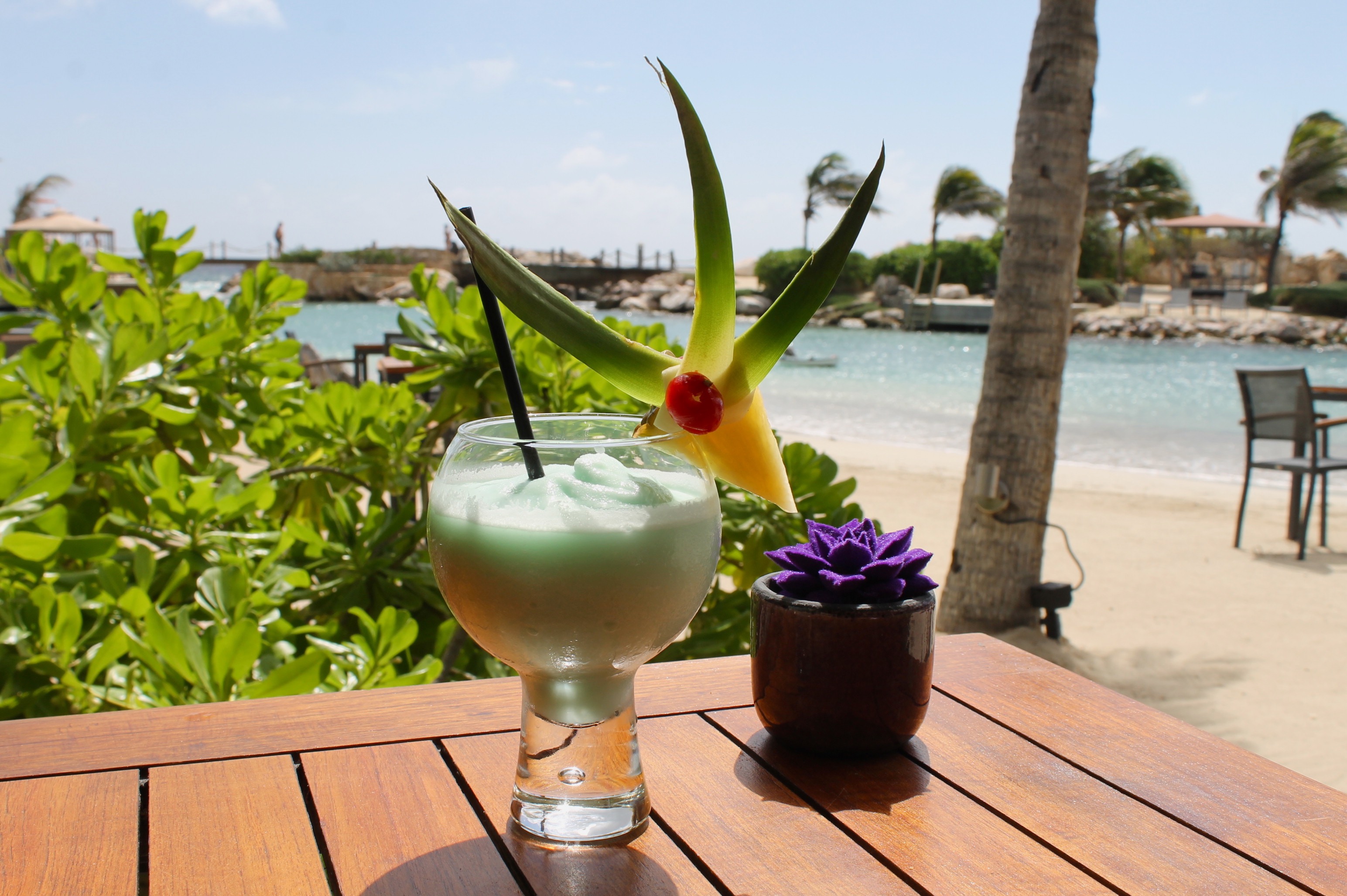 Baoase Luxury Resort, cocktail, best, dinner, hotel, luxury, Curacao