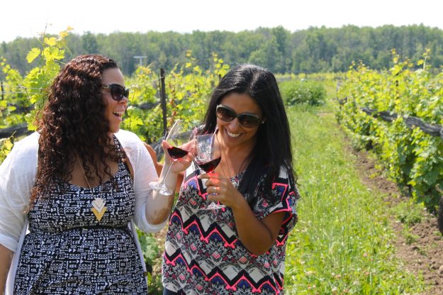 Niagara Escarpment Wineries, Wine Country Ontario, Niagara, vineyard, epic
