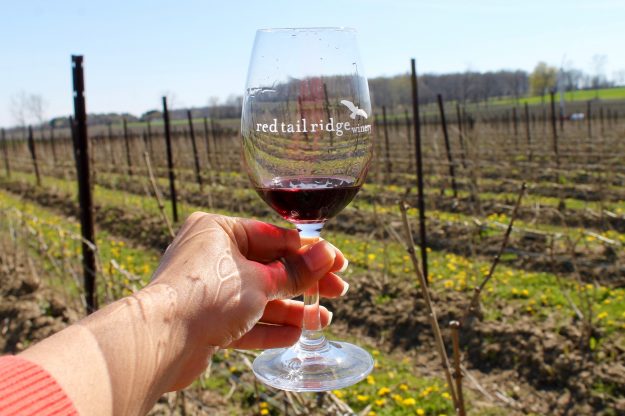 Seneca Lake Wineries, Red Tail Ridge Winery in Finger Lakes Wine Country