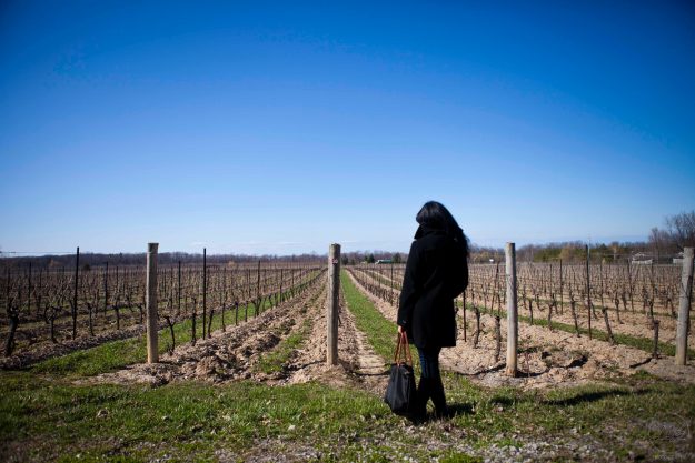 Niagara Escarpment Wineries, Flat Rock Cellars, Niagara Escarpment, Wine Country Ontario