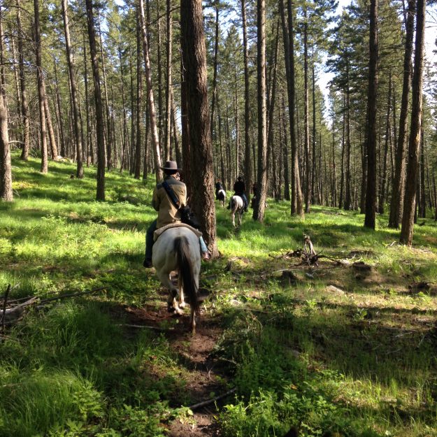 Flathead Lake Lodge, Montana, Dude Ranch