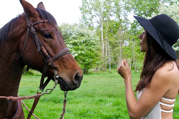 Flathead Lake Lodge, Montana, Dude Ranch