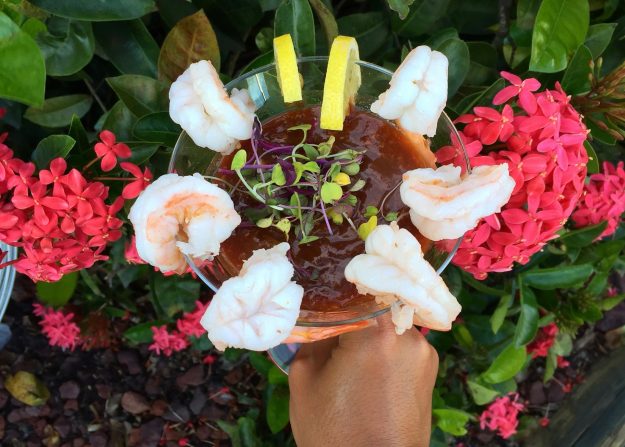 Best Gulf Shrimp in Florida