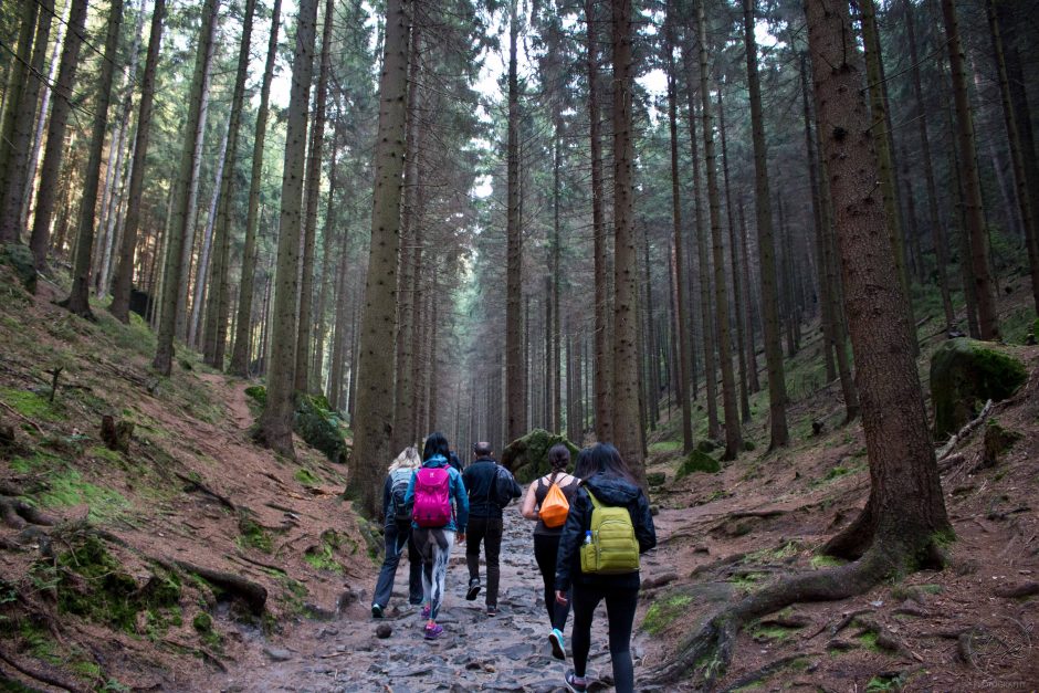 northern-hikes-an-adventure-in-czech-republic-the-curious-creature