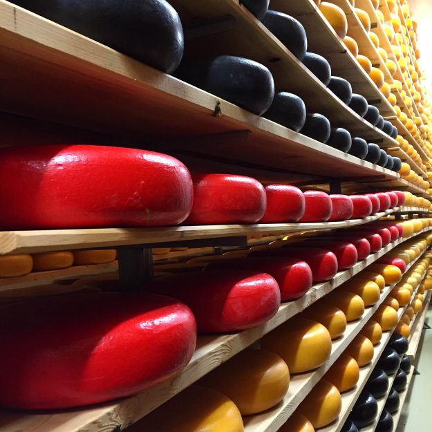 Mountainoak Cheese, Oxford County Cheese Trail, gouda, Ontario