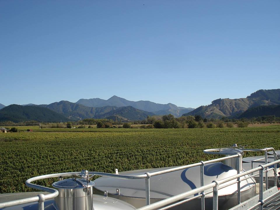 Whitehaven Wine, sustainable wine, new Zealand, Sauvignon Blanc, Ocean Wise