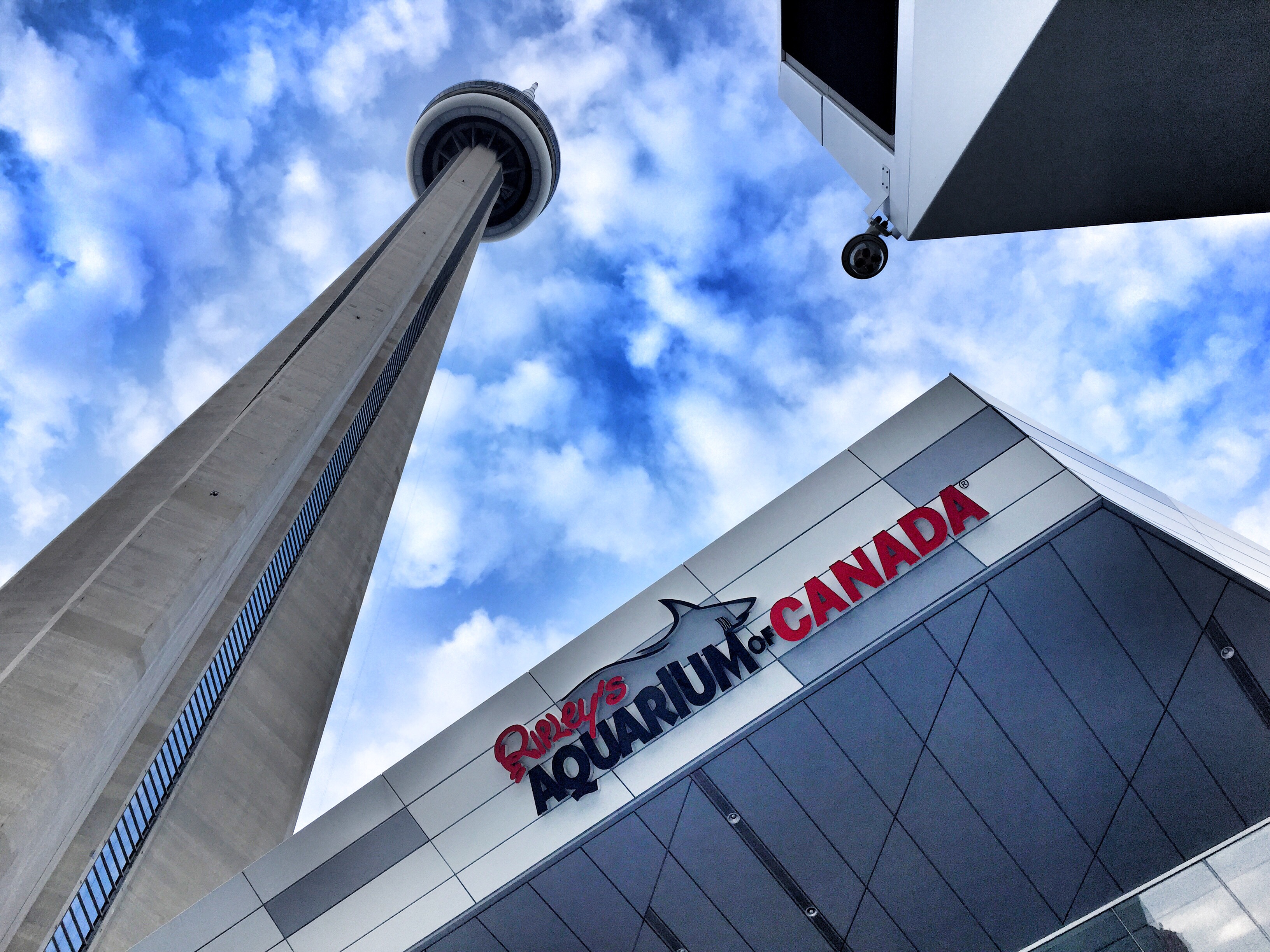 Ways To Experience Toronto Tourist Attractions Like A Local