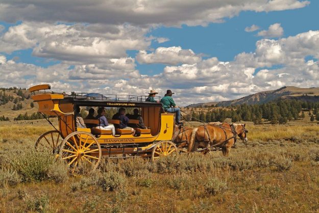 Insider Tips For Visiting Yellowstone National Park, Roosevelt 