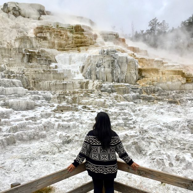 Road Trip Itinerary Through Wyoming, Mammoth Hot Springs