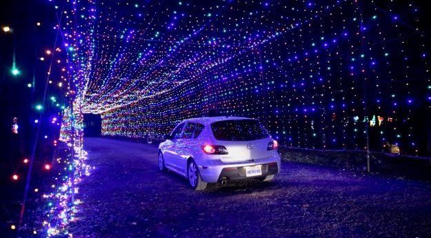 Celebrating The Holidays In Waterloo Region, Gift of Lights Bingemans 