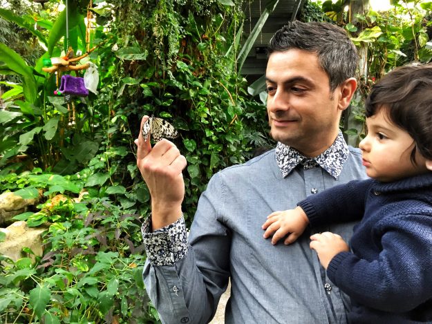 Cambridge Butterfly Conservatory, Celebrating The Holidays In Waterloo Region