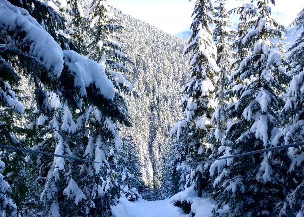 Whistler For The Non-Skier