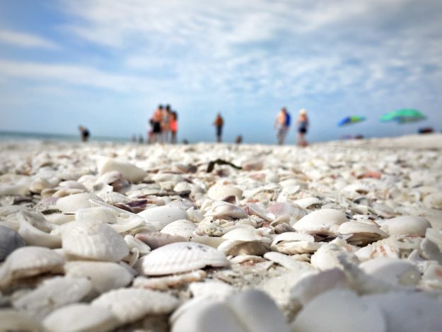 Family Vacation In Fort Myers & Sanibel, shelling on lighthouse beach