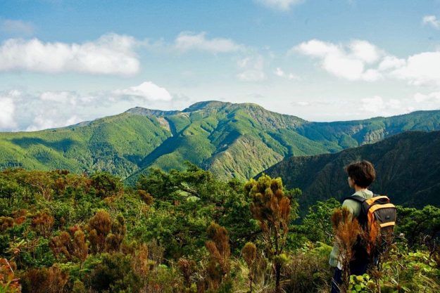 The Azores Island Of Terceira