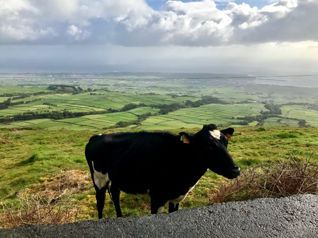The Azores Island Of Terceira