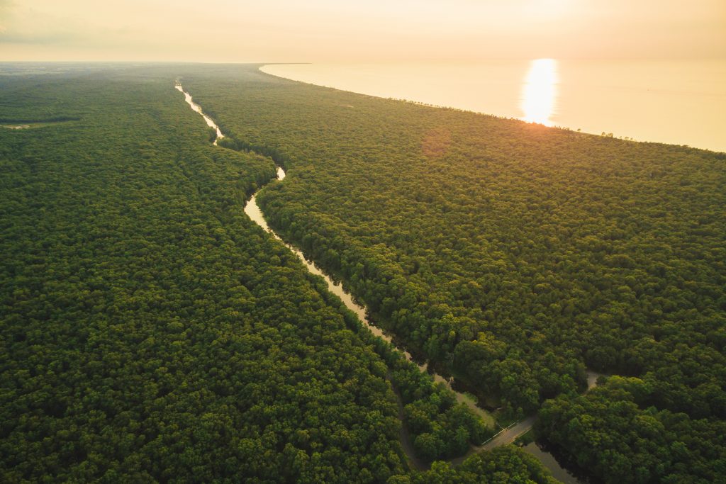 Pinery Provincial Park near Grand Bend