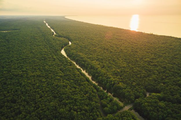 Pinery Provincial Park Aerial, Grand Bend