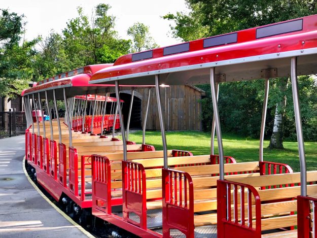Tips For African Lion Safari