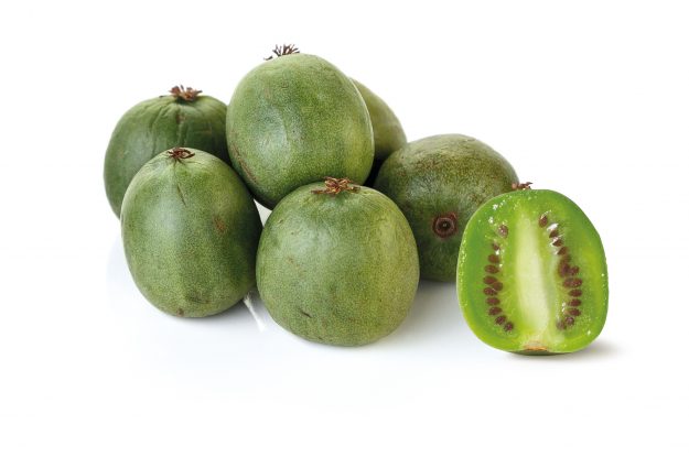 Green Smoothie Bowl Recipe Using Nergi Berries