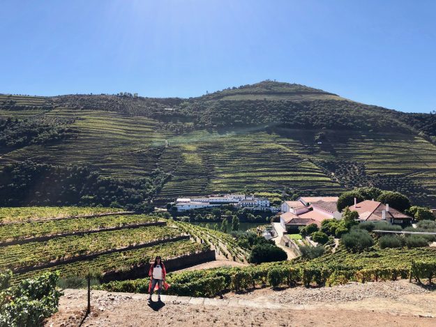 Douro Valley, Croft, Quinta Da Roeda 