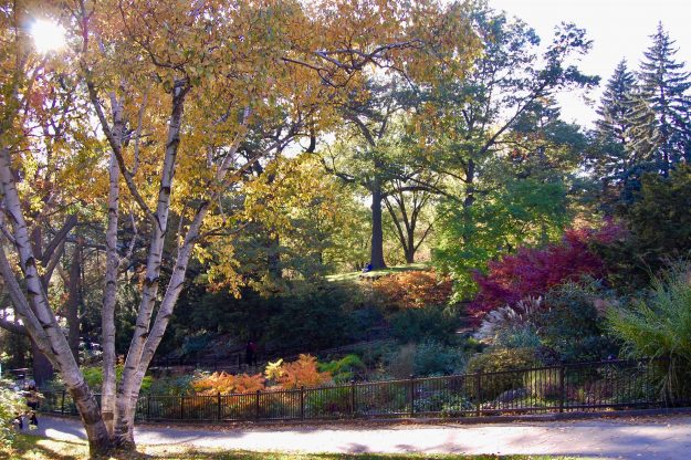 The Best Hiking Trails In And Around Toronto, High Park , Fall