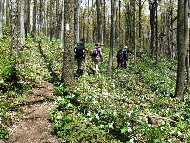 The Best Hiking Trails In And Around Toronto