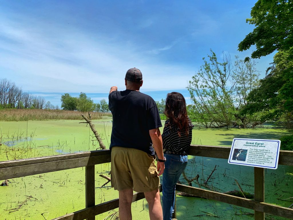 Fish Point Provincial Park on Pelee Island