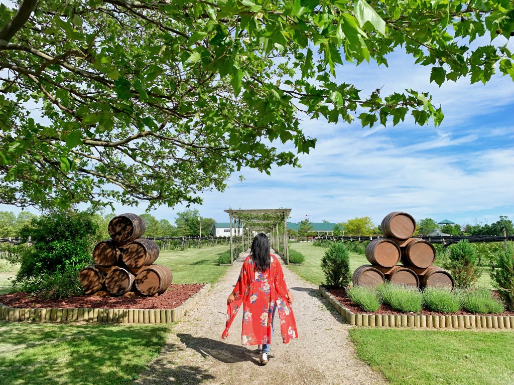 Pelee Island Winery
