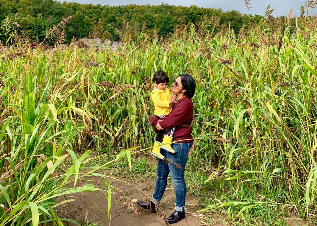 Spring Ridge Farm Fall 5 Things To Do This Fall In Milton, Ontario - The Curious Creature