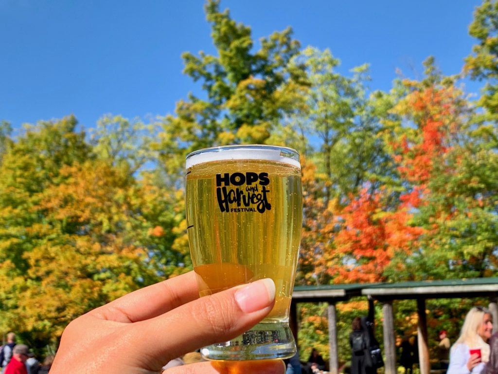 Hops and Harvest Festival Beer