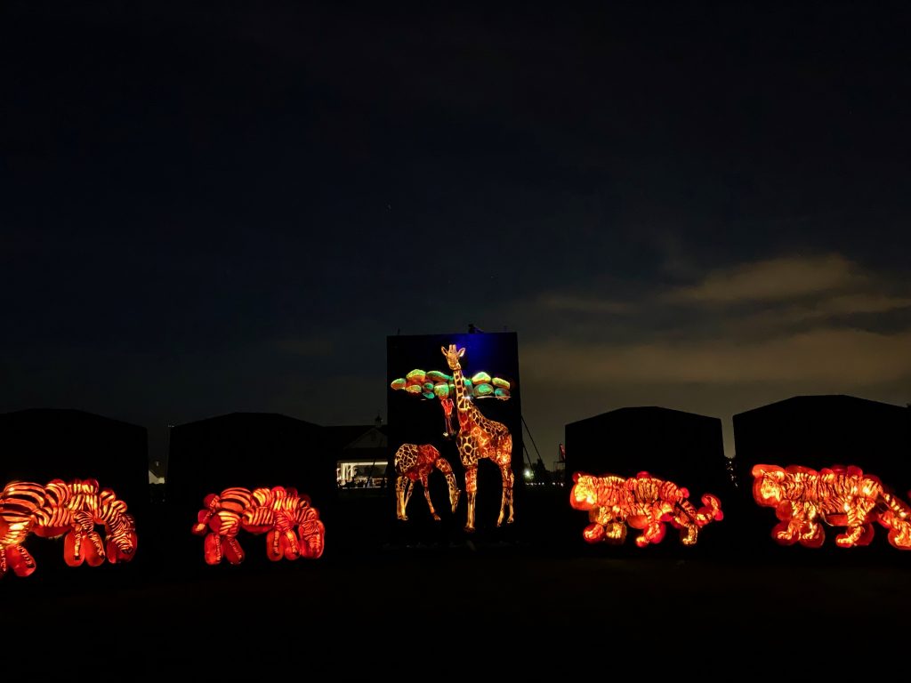 Pumpkins After Dark With A Toddler