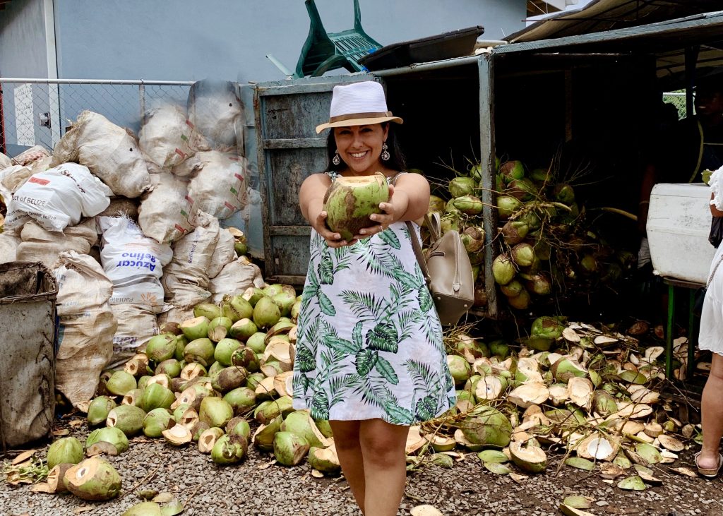 coconuts in Saint Lucia 