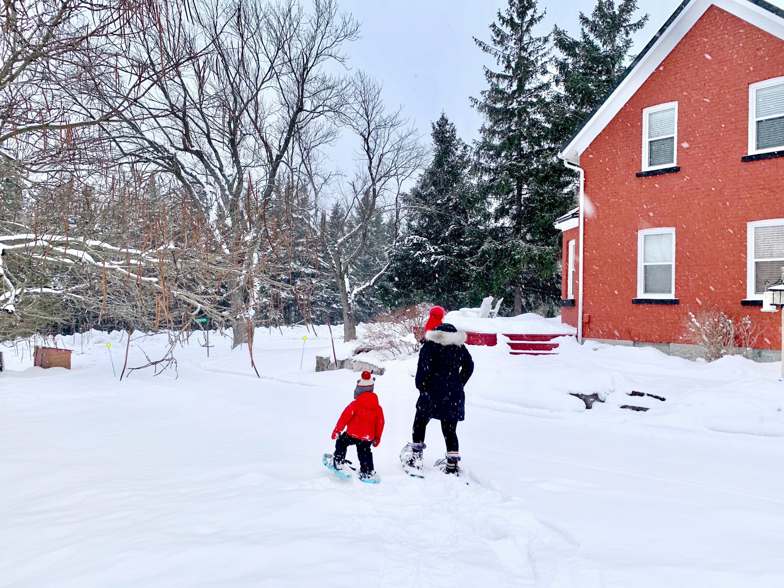 Winter Activities In Grey County