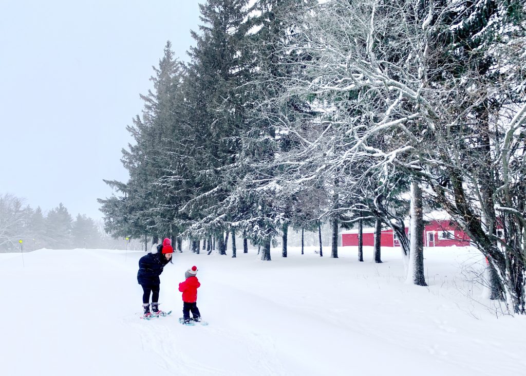 Winter Activities In Grey County